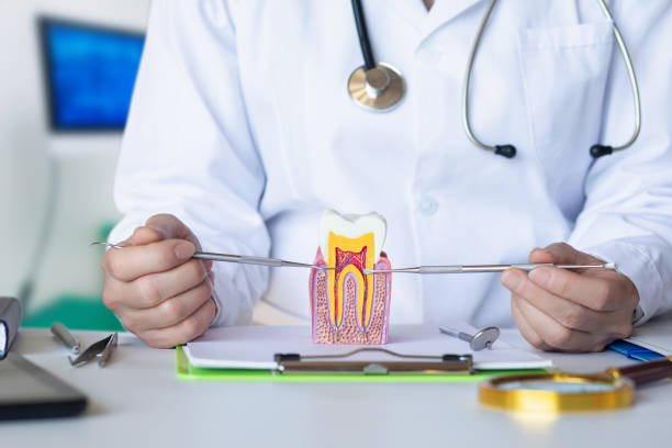Best Emergency Root Canal Treatment in Aloha, OR